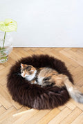 MSG_0160 - Nai Pet Store