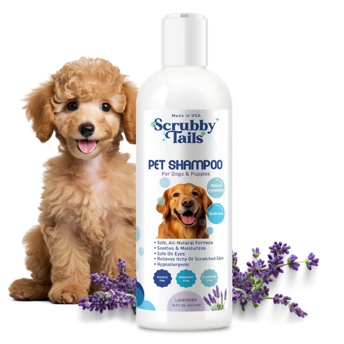 Scrubby Tails Organic Oatmeal Dog Shampoo for Itchy Skin | Lavender, 16oz