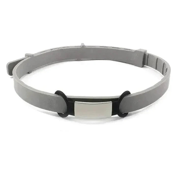 JFBByzS646r5pbPZ - Nai Pet Store