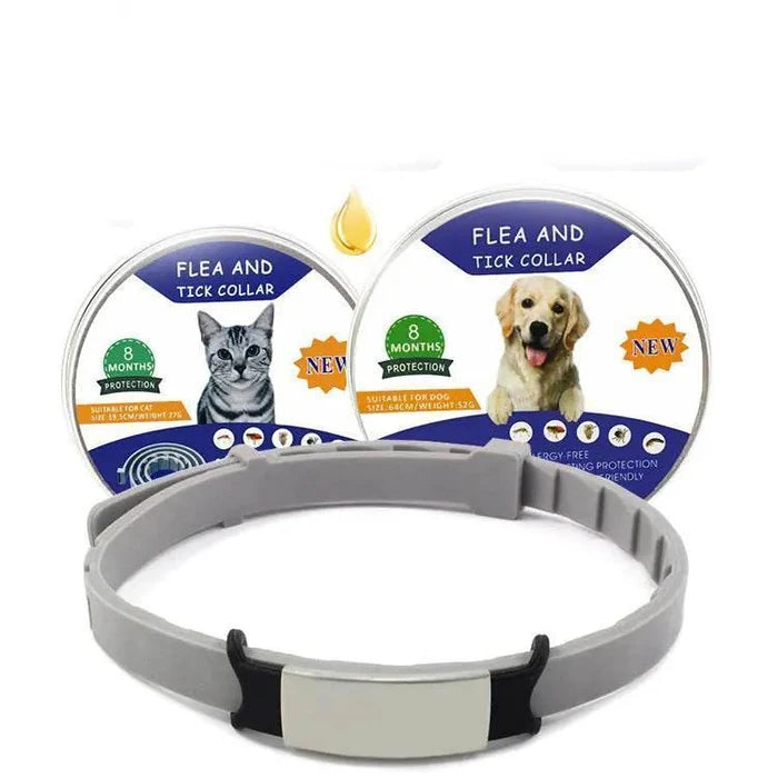 GHAQ0Z3mQBv1MZug - Nai Pet Store
