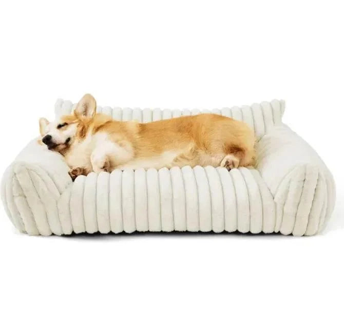 Cozy corgi sleeping in plush dog bed, ideal for pet comfort and care