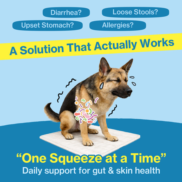 Squeeze Probiotics for Small & Senior Dogs Gut Health Support