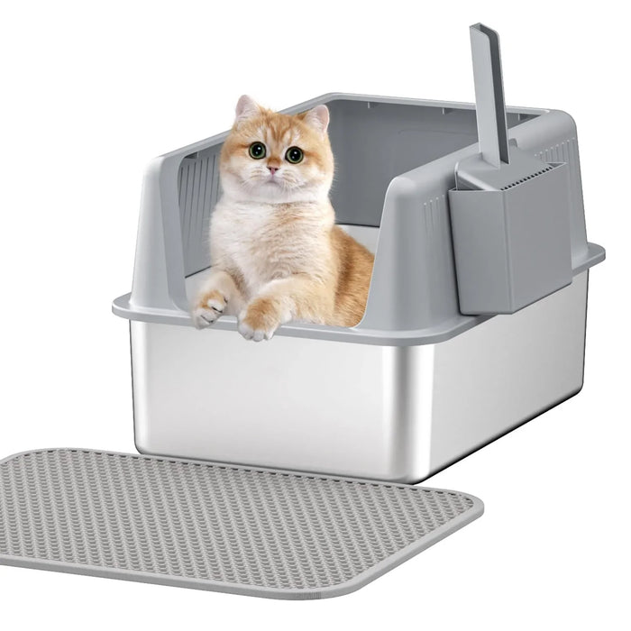 Cat in covered litter box with scoop and mat, pet care essentials for cats