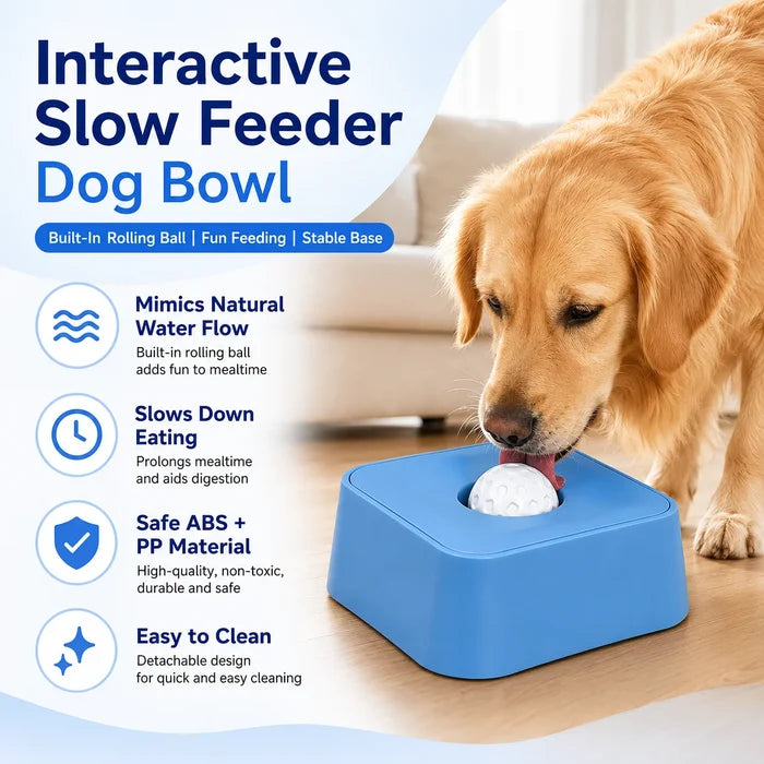 Stock Stylish Portable Modern Solid Pattern Pet Slow-feeding Square