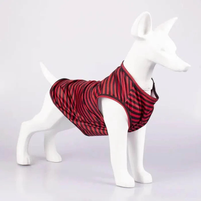 5M7svVH76XI6x0lo - Nai Pet Store