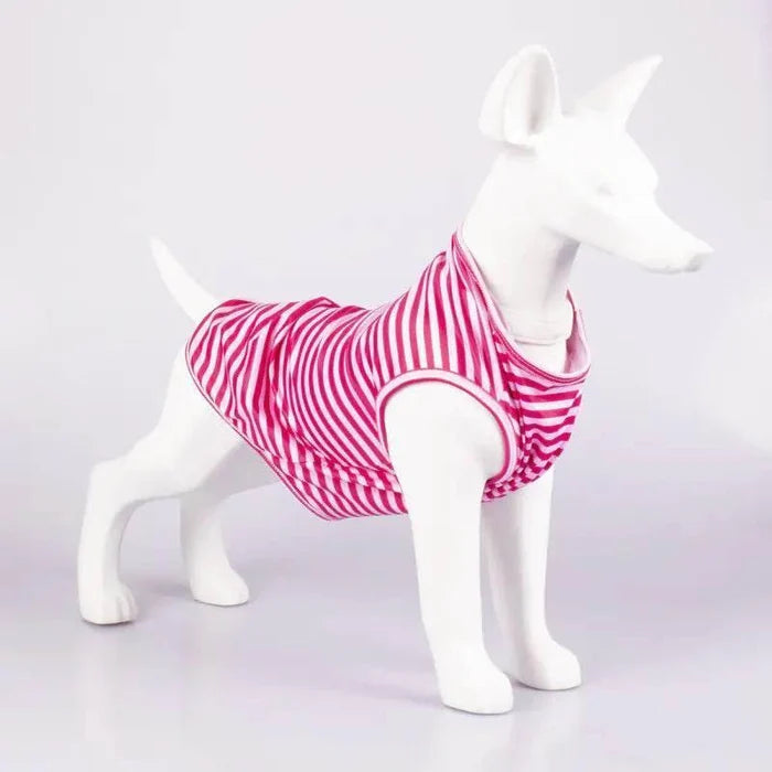 bdI29tj7nOwyD7Bg - Nai Pet Store