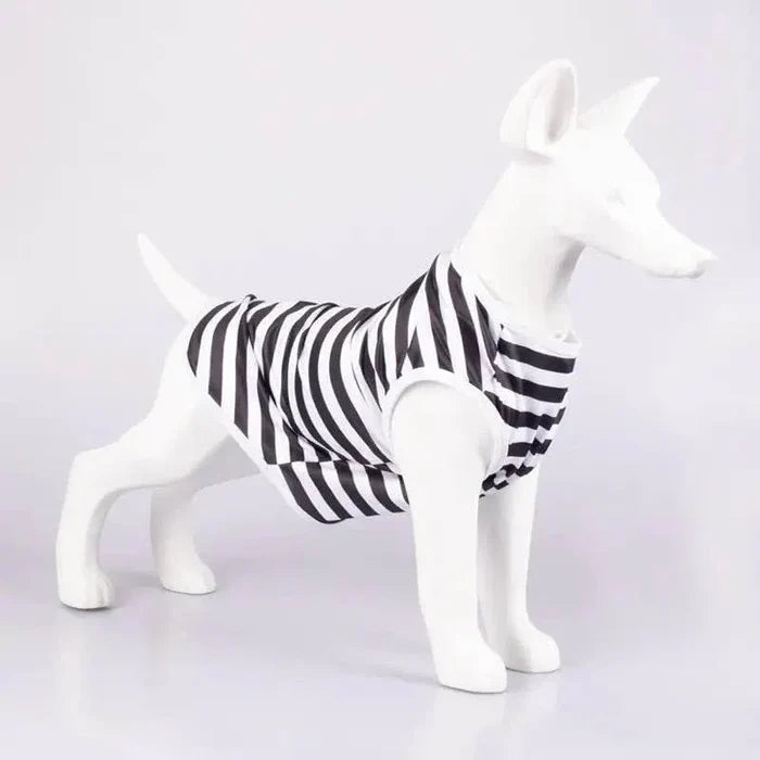 IP11TyldVlDW2qRM - Nai Pet Store