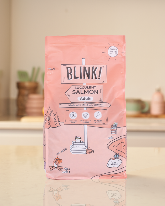 Succulent Salmon Dry Food 2kg