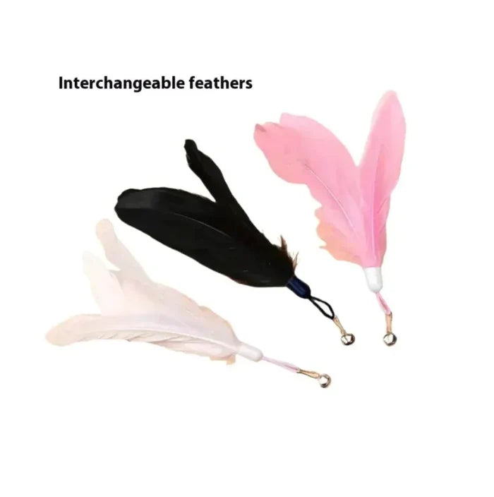 Interchangeable feather cat toys in pink, black, and white for playful pets