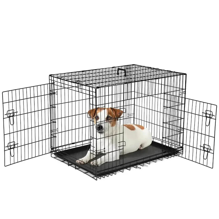 jGTRRv72mtb8PRaQ - Nai Pet Store