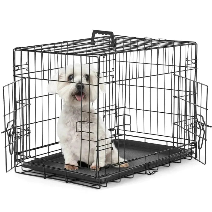 Lvq5vsDMGjtrN0Ou - Nai Pet Store