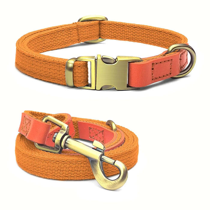a955048c42048cee50be6cb77cfb - Nai Pet Store