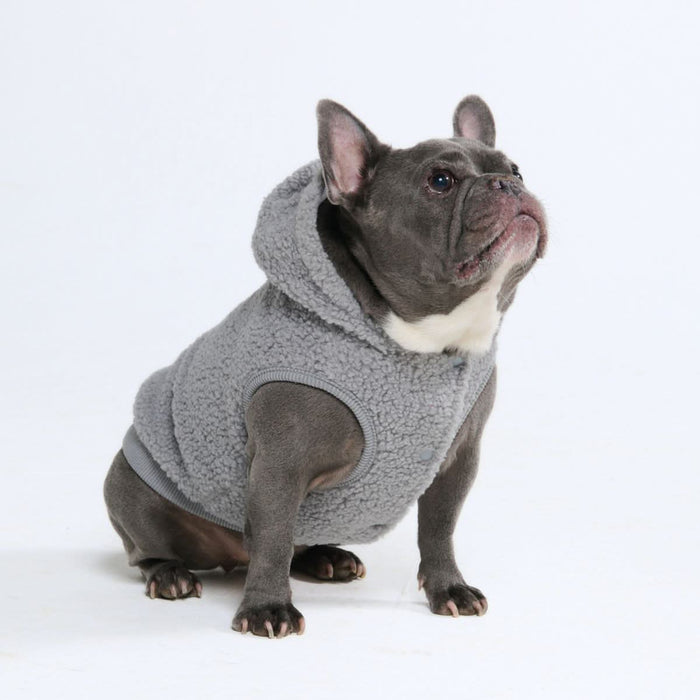 Teddy Sherpa Dog Jacket - Silver Gray