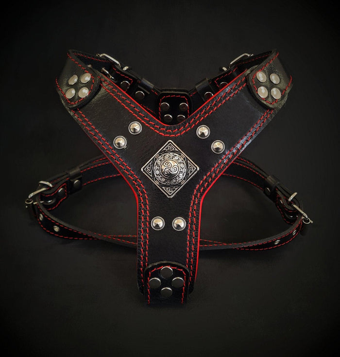 Black leather dog harness with red stitching, metal studs, and decorative emblem for pets
