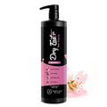 TRATY VET Pet Shampoo | Fast-Drying, Plum Blossom | Dogs & Cats | 16 oz / 500 ml
