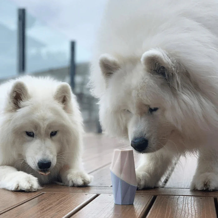 lifestyle2 - Nai Pet Store