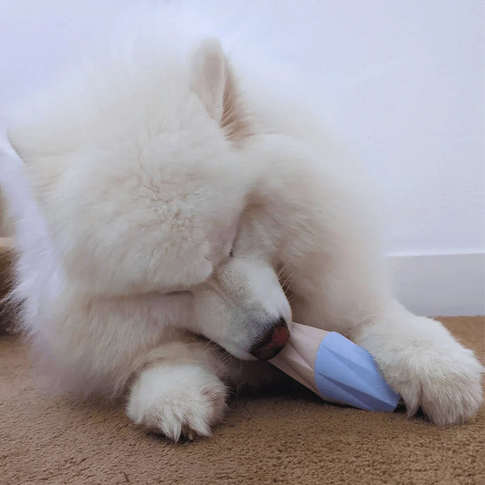 lifestyle6 - Nai Pet Store