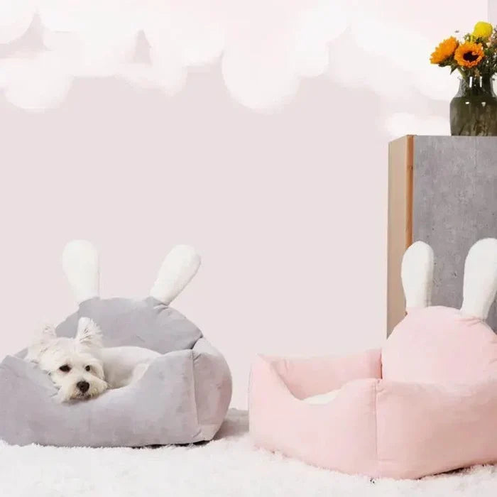aqWrSQFsXEwaQcLv - Nai Pet Store