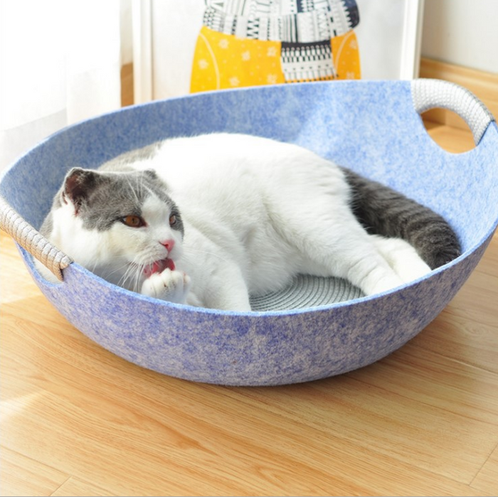 Gray and white cat lounging in blue felt pet bed with handles, ideal for cozy cat naps and pet comfort.
