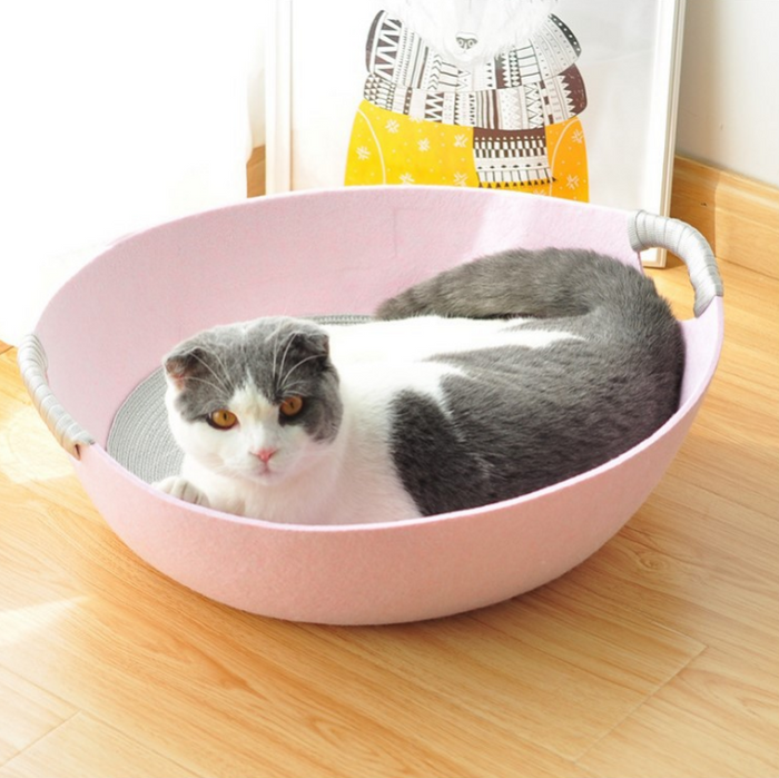Gray and white cat resting in pink pet bed with handles, cozy cat accessory for home