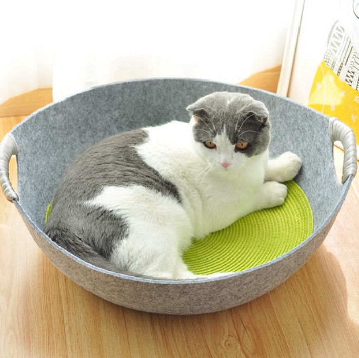 Gray and white cat resting in cozy felt pet bed with green mat, perfect for cat comfort and pet essentials.
