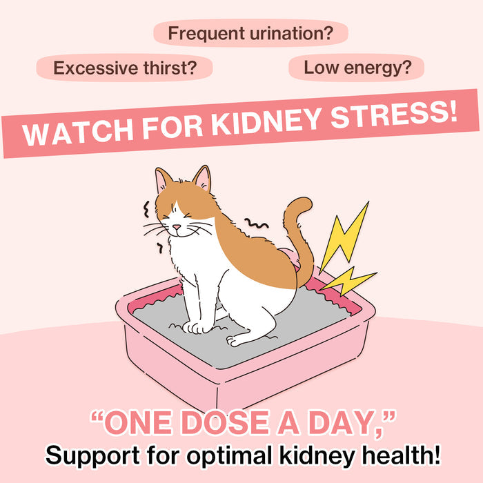 UT Care for Cats UTI & Kidney Support