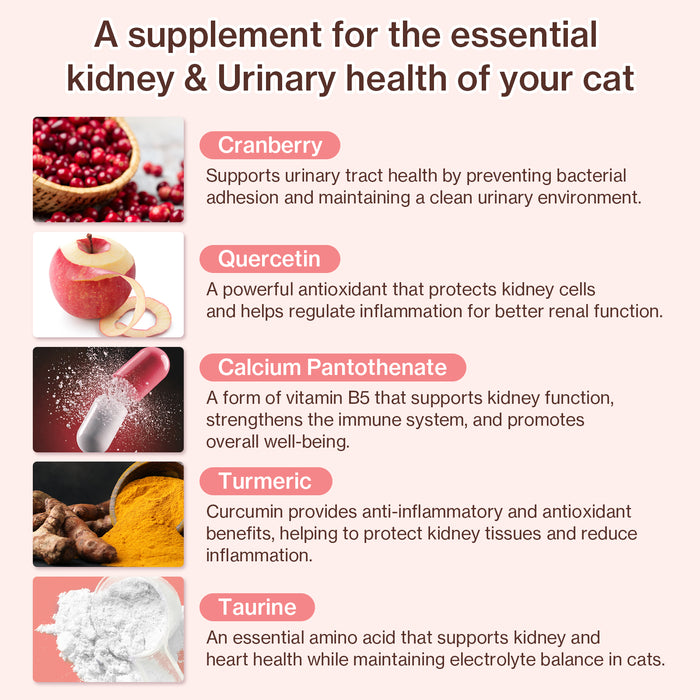 UT Care for Cats UTI & Kidney Support