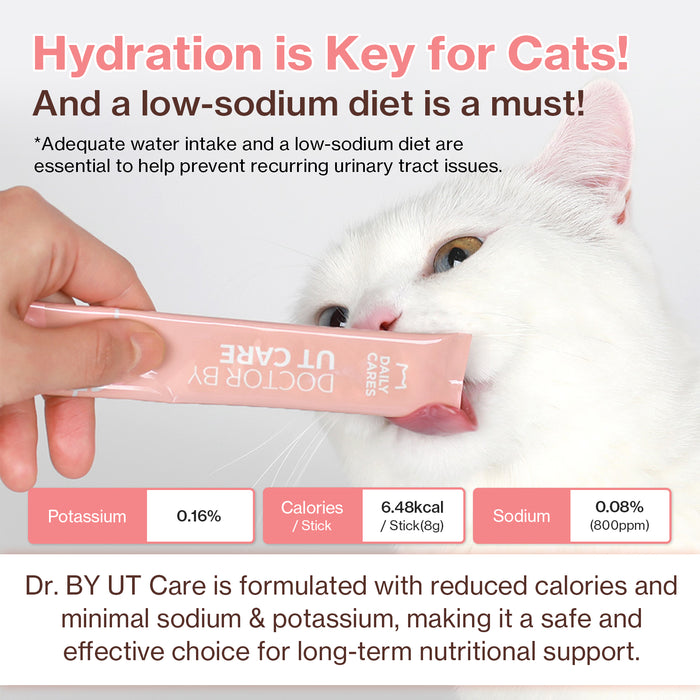 UT Care for Cats UTI & Kidney Support