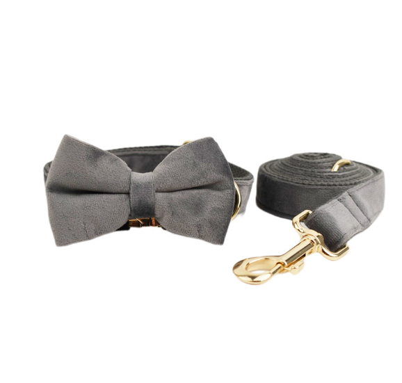 Dog leash / L