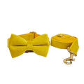 Velvet Pet Collar with Traction Rope