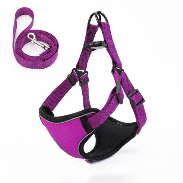 Purple dog harness and leash set with black padding and adjustable straps for comfortable pet walking