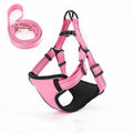 Pink dog harness with matching leash, adjustable straps, and black padding for comfort