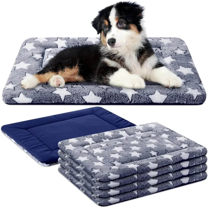 OHHwS4bhXqGc1wfd - Nai Pet Store