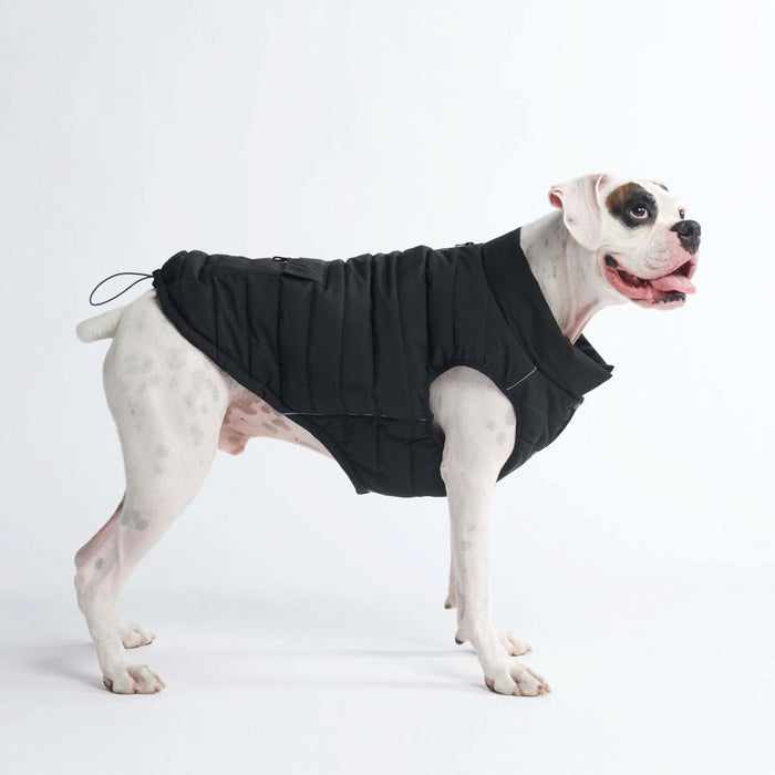 size:3XL