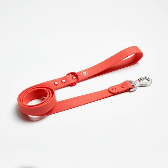 Red PVC Leash / Standard