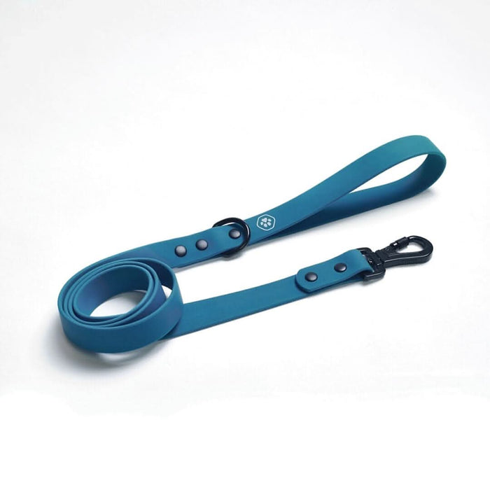 Blue PVC Leash / Standard