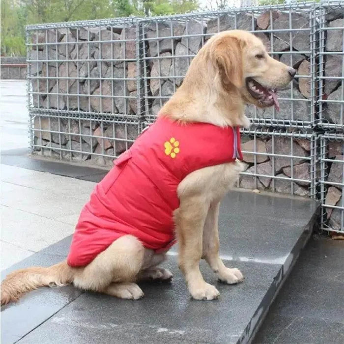 oKiacxChjwXy2QdA - Nai Pet Store