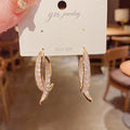 Women Accessories Designer Jewelry Famous Brands Diamond Earrings