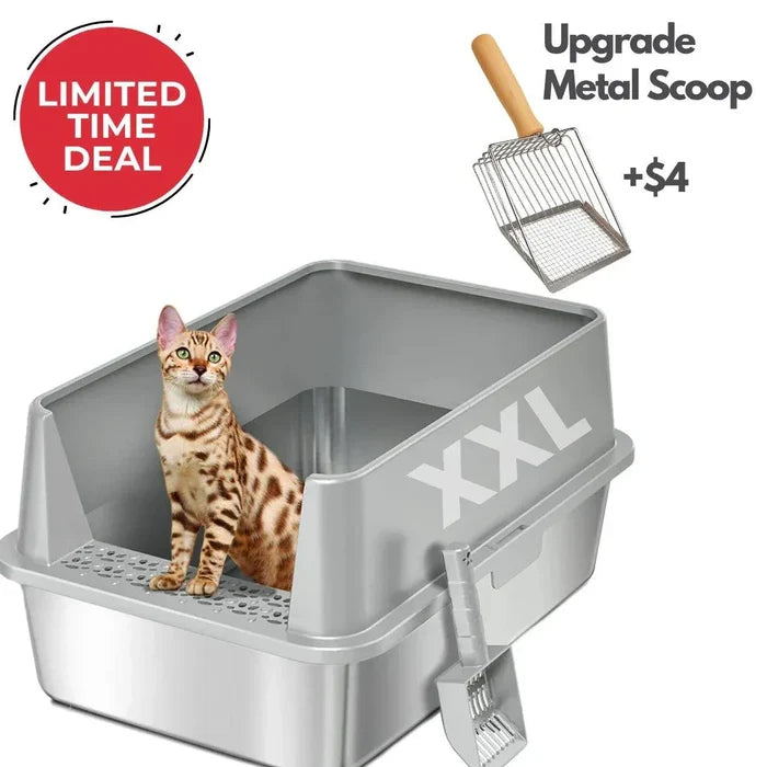 Light Gray / Box+Metal Scoop
