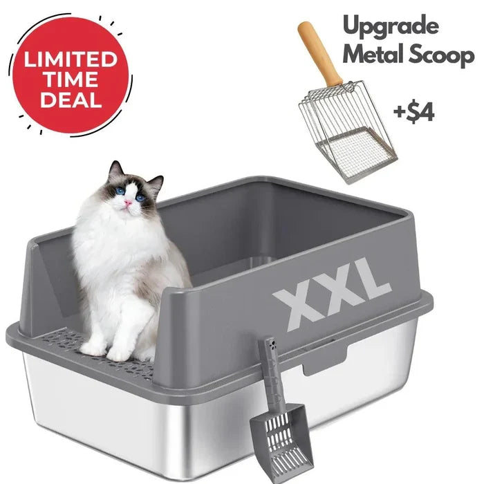 Gray / Box+Metal Scoop